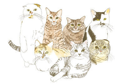 シモン「Cat's ISSUE」