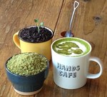 「盆栽カフェ」が東急ハンズ渋谷にオープン - 盆栽ラテアートなどを提供｜写真1