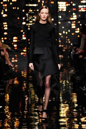 ダナ キャラン(DONNA KARAN) 2015年秋ウィメンズコレクション  - 写真17