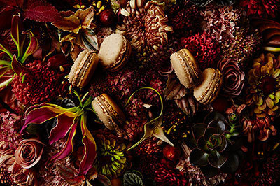 ピエール・エルメ・パリ「ジャルダン ド ノルデスト」