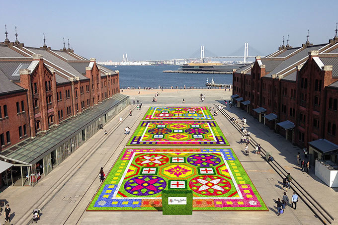横浜赤レンガ倉庫「フラワーガーデン 2015」、過去最多47,500株の草花による”花の絨毯” | 写真