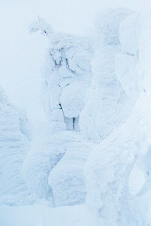 バートンサーティーン(BURTON THIRTEEN) 2015-16年秋冬メンズコレクション  - 写真11