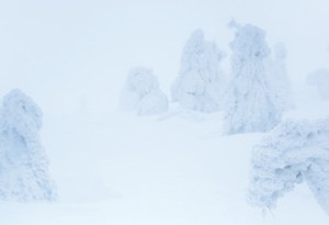 バートンサーティーン(BURTON THIRTEEN) 2015-16年秋冬メンズコレクション  - 写真20