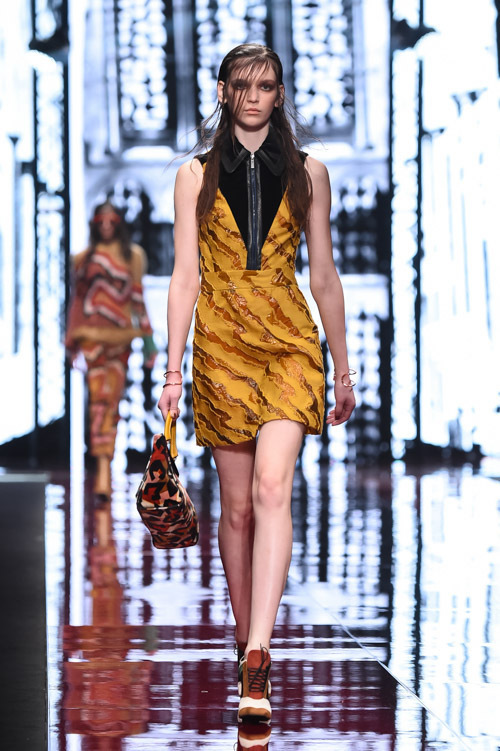 ジャスト カヴァリ(Just Cavalli) 2015-16年秋冬ウィメンズコレクション  - 写真51