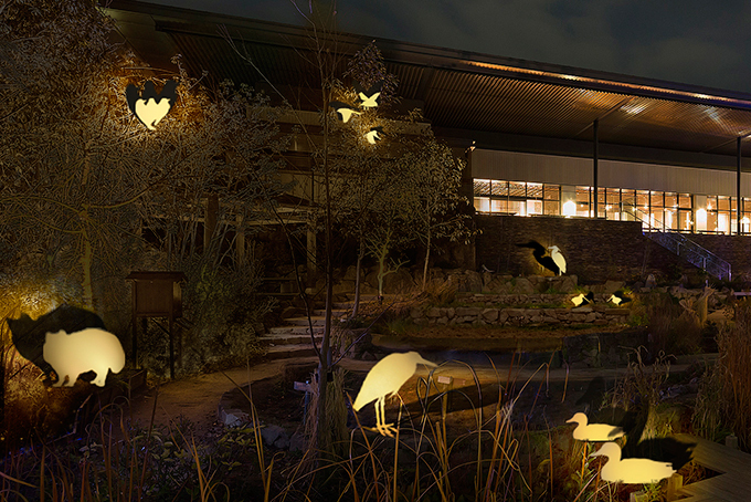 京都水族館で開業3周年を祝う新企画、大水槽と3Dプロジェクションマッピングが夢の共演｜写真5