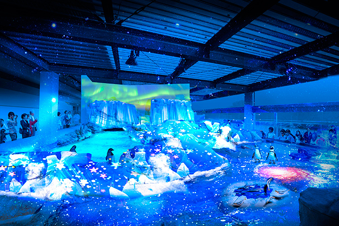 京都水族館で開業3周年を祝う新企画、大水槽と3Dプロジェクションマッピングが夢の共演 | 写真
