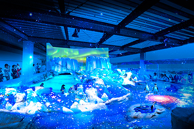 アクアリウム｜京都水族館で開業3周年を祝う新企画、大水槽と3Dプロジェクションマッピングが夢の共演