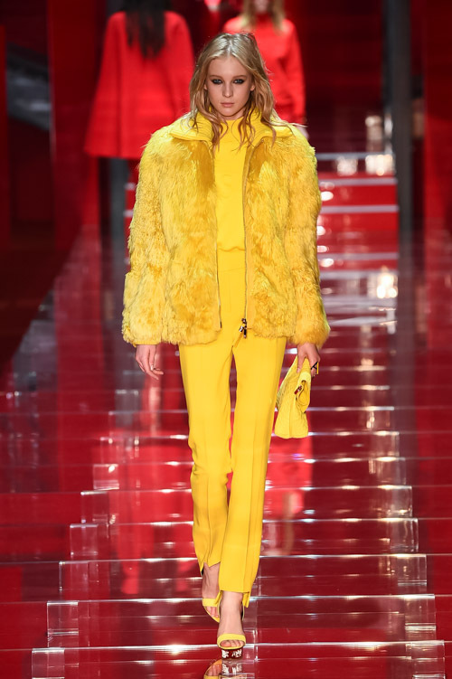 ヴェルサーチェ(VERSACE) 2015-16年秋冬ウィメンズコレクション  - 写真17