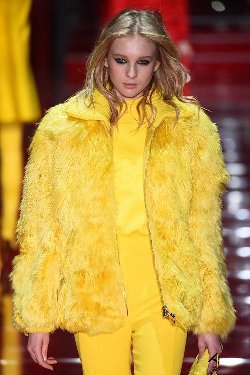 ヴェルサーチェ(VERSACE) 2015-16年秋冬ウィメンズコレクション  - 写真18