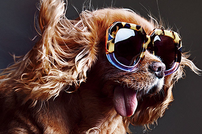 カレンウォーカーより新作アイウェア登場 - インスタで人気の「TOAST」がビジュアルに