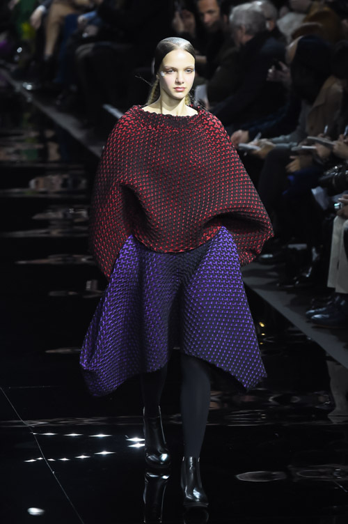 イッセイ ミヤケ(ISSEY MIYAKE) 2015-16年秋冬ウィメンズコレクション  - 写真7