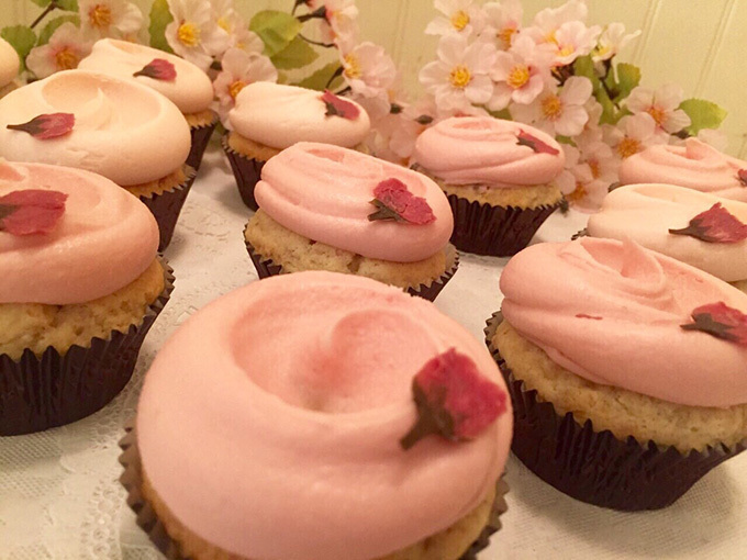 マグノリアベーカリーから春限定、淡いピンクの「サクラ カップケーキ」登場 | 写真