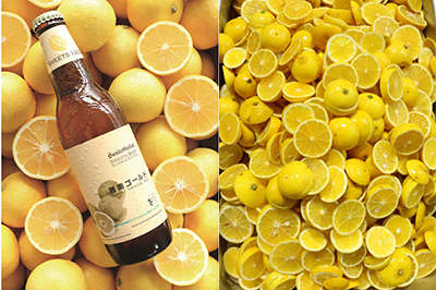 「湘南ゴールド」