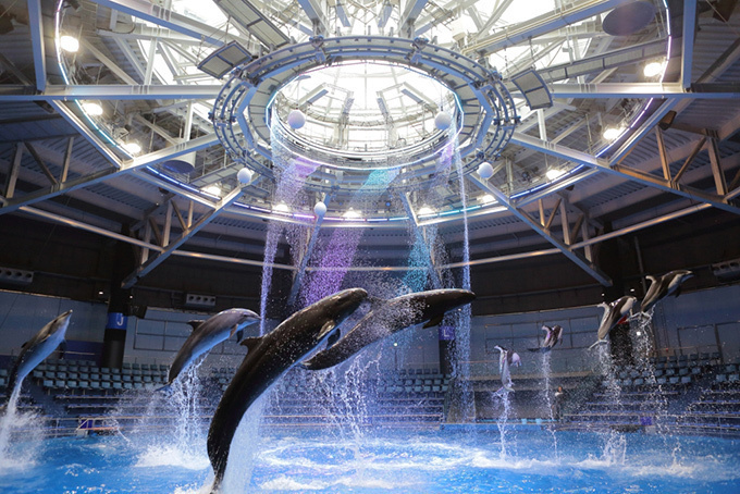 「エプソン アクアパーク品川」リニューアルオープン - 水族館を超えた都市型エンターテインメント施設｜写真2