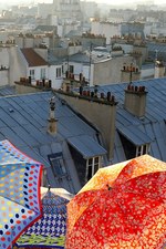 エピス(EPICE) エピス｜写真23