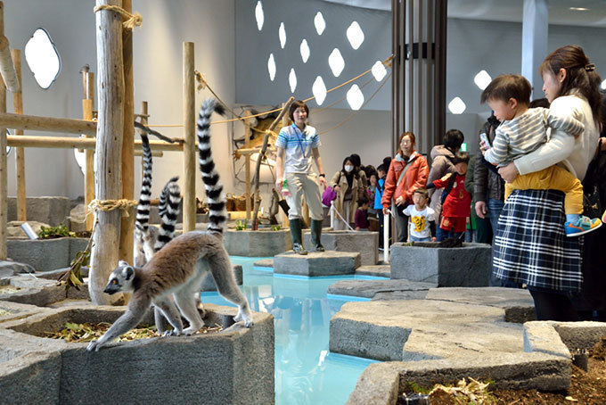 「ニフレル」大阪・EXPOCITYに - 水族館、動物園、美術館を超えた“生きているミュージアム” | 写真