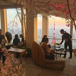 アンダース 東京で「お花見ガーデン」開催 - 地上250mから桜を楽しもう！｜写真4