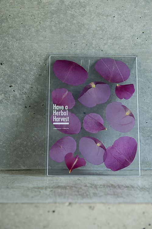 美しいハーブティー「Have a Herbal Harvest」展示販売が原宿で開催｜写真8