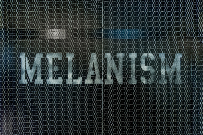 青山「ザ・プール」新ストアテーマ、黒色に染まる“MELANISM” - HYKEのコラボアイテム登場 | 写真