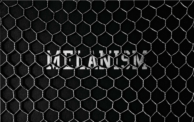 青山「ザ・プール」新ストアテーマ、黒色に染まる“MELANISM” - HYKEのコラボアイテム登場｜写真1