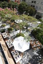 グランド ハイアット 東京にマリー アントワネットが愛した「フレンチ アフタヌーンティー」新登場｜写真2