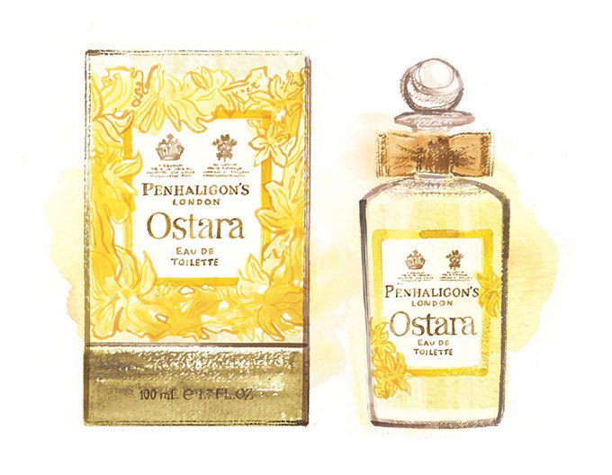 ペンハリガン(PENHALIGON'S) オスタラ｜写真3