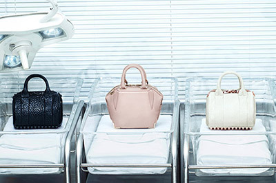 アレキサンダー ワン「エミール」と「ロッキー」