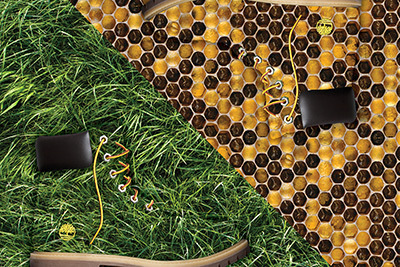 ティンバーランド