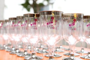 全国のワインを楽しめる「日本ワインMATSURI祭」東京・お台場で開催 - 46のワイナリー集結｜写真5