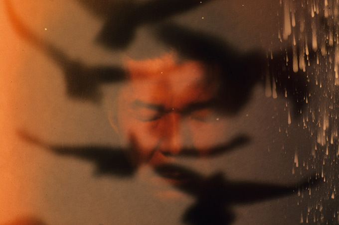 深瀬昌久《烏・夢遊飛行》（1980年）Masahisa Fukase Archives