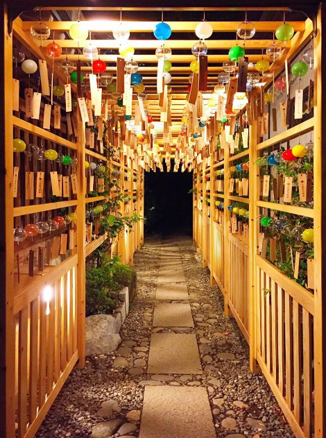 川越氷川神社 縁むすび風鈴 - 10万人以上を魅了する夏の祭事 | 写真