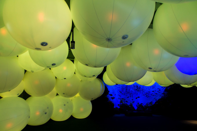 「ナイトワンダーアクアリウム2015」新江ノ島水族館で開催！チームラボが贈る大水槽の幻想的な世界｜写真16