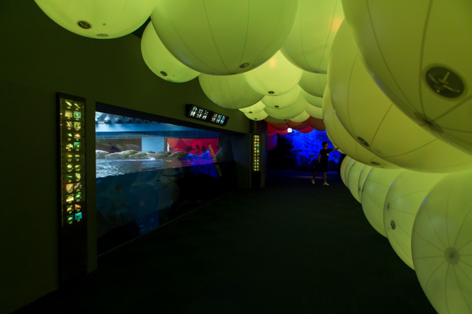 「ナイトワンダーアクアリウム2015」新江ノ島水族館で開催！チームラボが贈る大水槽の幻想的な世界｜写真21