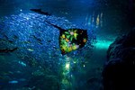 「ナイトワンダーアクアリウム2015」新江ノ島水族館で開催！チームラボが贈る大水槽の幻想的な世界｜写真14