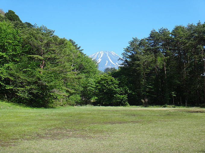 富士のふもとで映画を楽しむ「湖畔の映画祭」山梨県の本栖湖で開催 | 写真