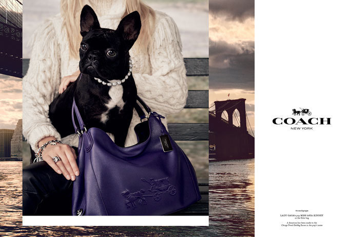 クラシック 新作 COACH スモールウォレット 犬 ドッ o1saude.com.br