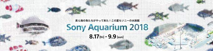 「ソニーアクアリウム」銀座ソニーパークで開催 - 沖縄美ら海水族館の世界を巨大水槽で再現｜写真3
