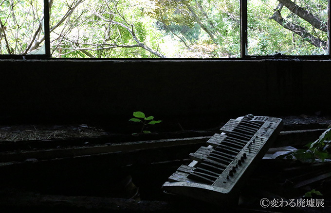 「変わる廃墟展」静岡パルコで開催 - "美しい廃墟"収めた写真や動画、限定グッズ｜写真4