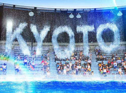 京都水族館の夜限定アトラクション「ファンタジックナイトアクアリウム」- イルカショーも特別仕様に｜写真3