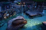 上野動物園＆葛西臨海水族園“夜の動物たちを楽しむ”夜間開園イベント