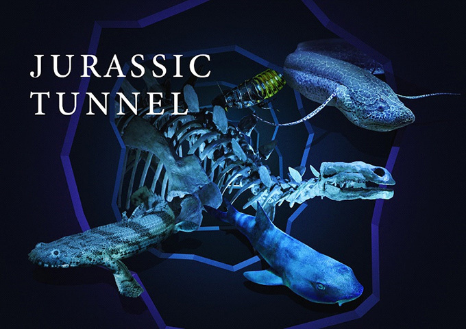 京都水族館に体感型展示「ジュラシックトンネル」音×光×生き物で、古代にタイムスリップ！ | 写真
