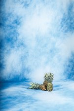 エンジニアド ガーメンツ 2016年春夏コレクション - イルカが泳ぐワークウェアで安らいで｜写真35