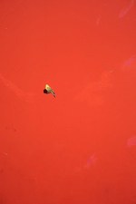 アストラットが伊勢丹新宿本店に期間限定ストアを出店 - 先行発売アイテムやアート作品の展示も｜写真5