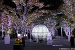 東京ドームシティ ウィンターイルミネーション開催、園内全体が煌びやかにライトアップ｜写真48