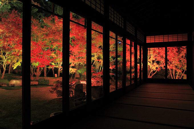 「博多ライトアップウォーク2015博多千年煌夜」開催 - 由緒ある寺社や庭園が美しくライトアップ | 写真