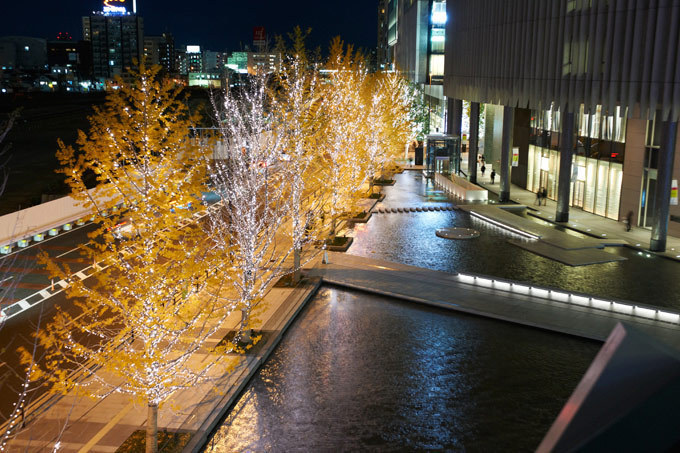 グランフロント大阪に23万球のイルミネーション登場 - 上品に輝くシャンパンゴールドの世界 | 写真