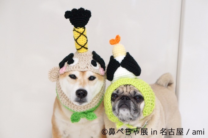 名古屋で「鼻ぺちゃ展」ブルドッグにパグ…”鼻ぺちゃ犬”の写真＆グッズが大集合｜写真4