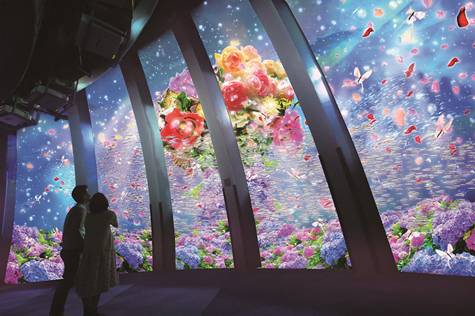 横浜・八景島シーパラダイス「楽園のアクアリウム」最新技術で楽しむ、花々舞う幻想的な水族館 | 写真