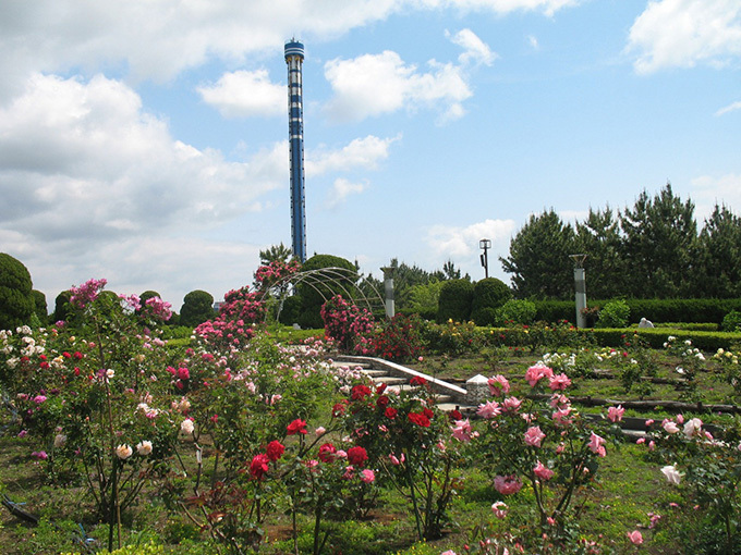 横浜・八景島シーパラダイス「楽園のアクアリウム」最新技術で楽しむ、花々舞う幻想的な水族館｜写真3