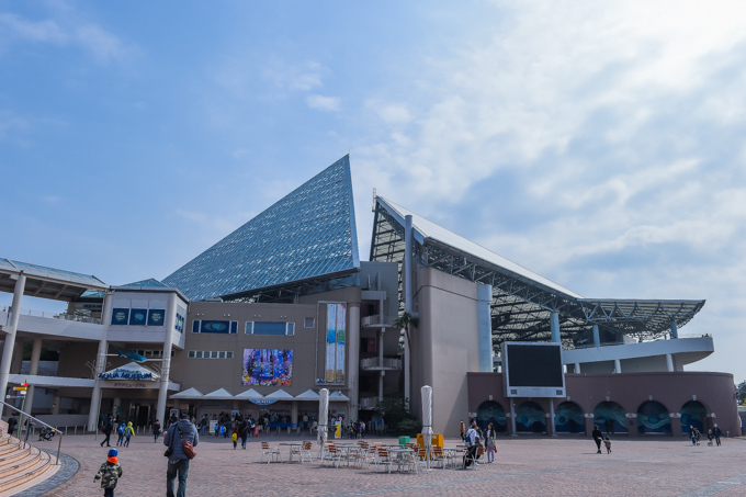 横浜・八景島シーパラダイス「楽園のアクアリウム」最新技術で楽しむ、花々舞う幻想的な水族館｜写真50